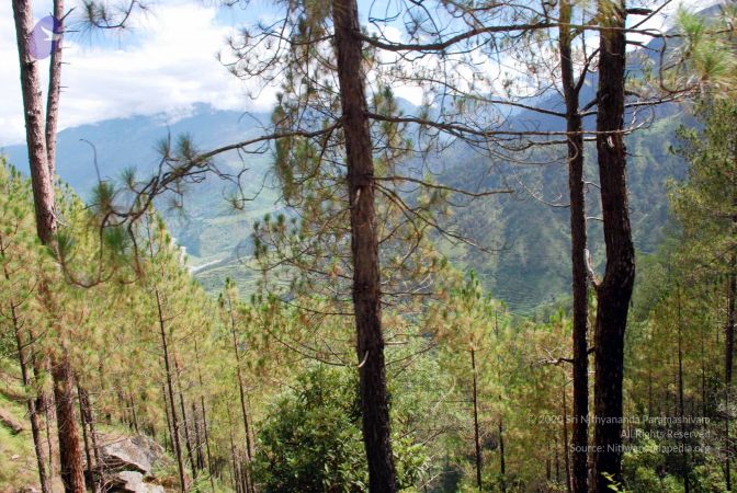 20080701 DSC 0205 CMP WM 0011.jpg