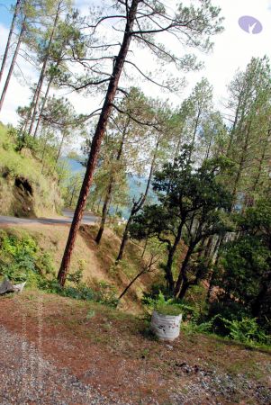 20080701 DSC 0213 CMP WM 0011.jpg