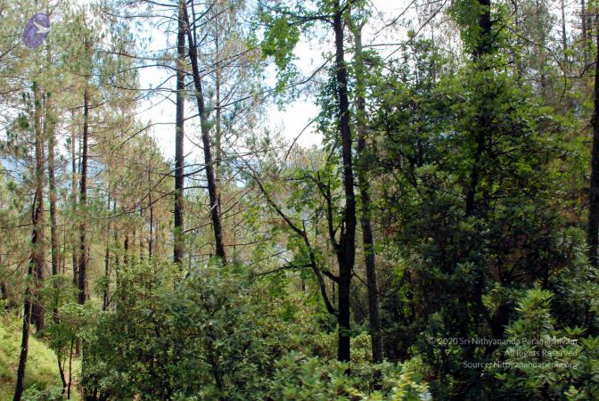 20080701 DSC 0217 CMP WM 0011.jpg