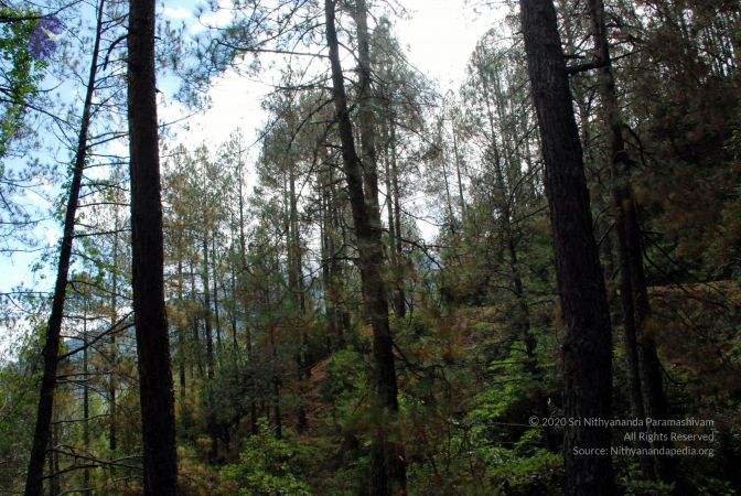 20080701 DSC 0218 CMP WM 0011.jpg