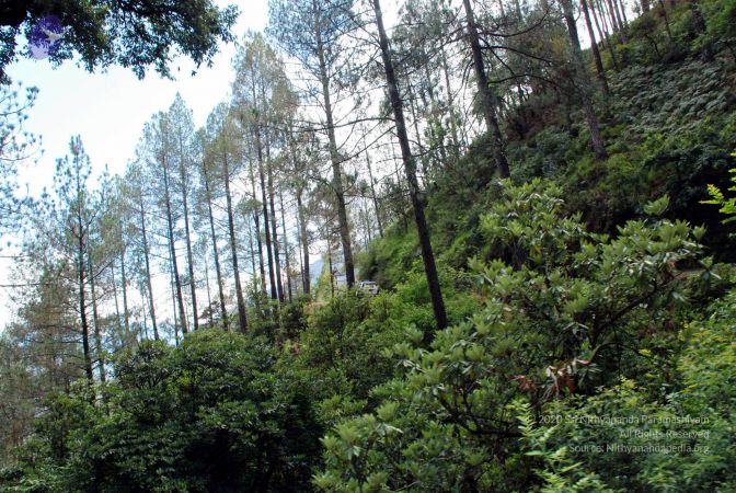 20080701 DSC 0222 CMP WM 0011.jpg