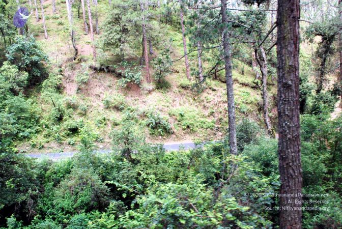 20080701 DSC 0228 CMP WM 0011.jpg