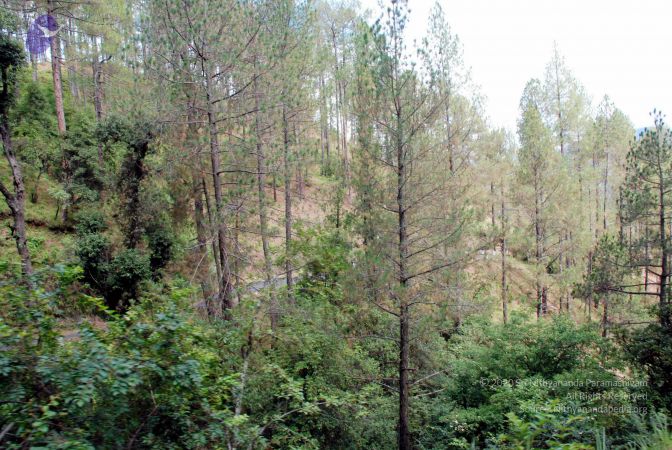 20080701 DSC 0229 CMP WM 0011.jpg