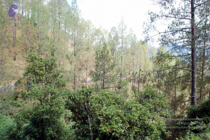 20080701 DSC 0231 CMP WM 0011.jpg