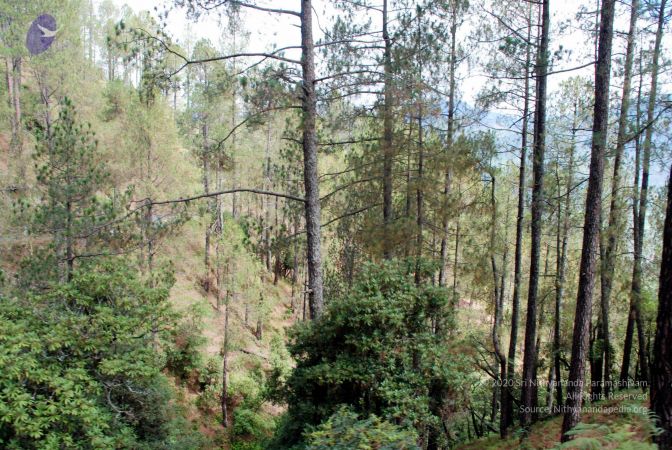 20080701 DSC 0232 CMP WM 0011.jpg