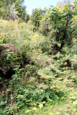 20080701 DSC 0247 CMP WM 0011.jpg