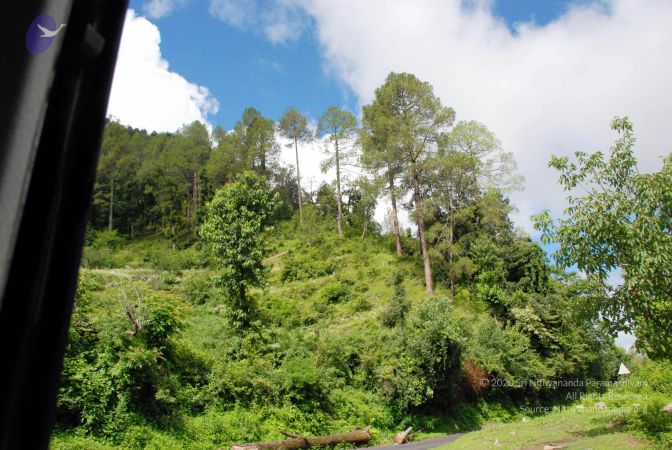 20080701 DSC 0248 CMP WM 0011.jpg