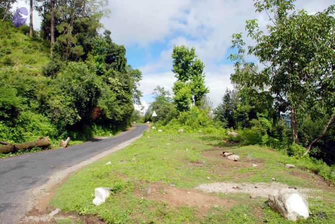 20080701 DSC 0250 CMP WM 0011.jpg