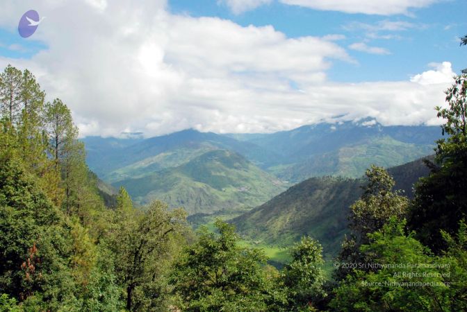 20080701 DSC 0260 CMP WM 0011.jpg