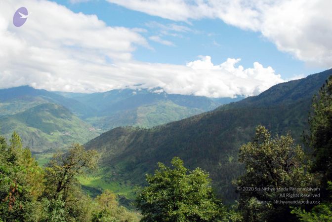 20080701 DSC 0261 CMP WM 0011.jpg