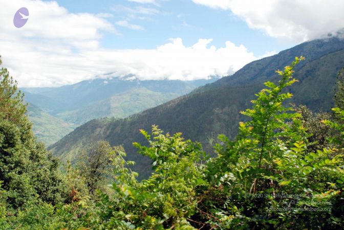 20080701 DSC 0262 CMP WM 0011.jpg