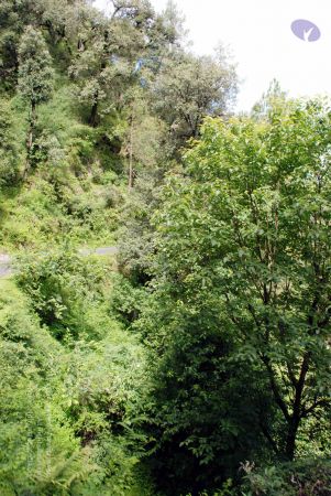 20080701 DSC 0263 CMP WM 0011.jpg