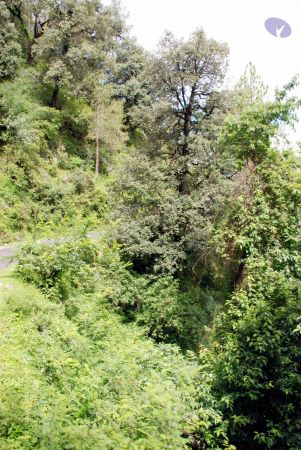 20080701 DSC 0264 CMP WM 0011.jpg