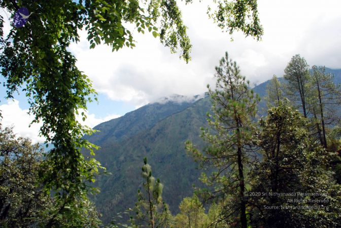 20080701 DSC 0265 CMP WM 0011.jpg