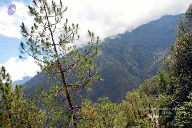 20080701 DSC 0267 CMP WM 0011.jpg