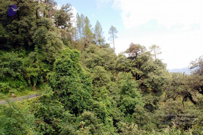 20080701 DSC 0269 CMP WM 0011.jpg