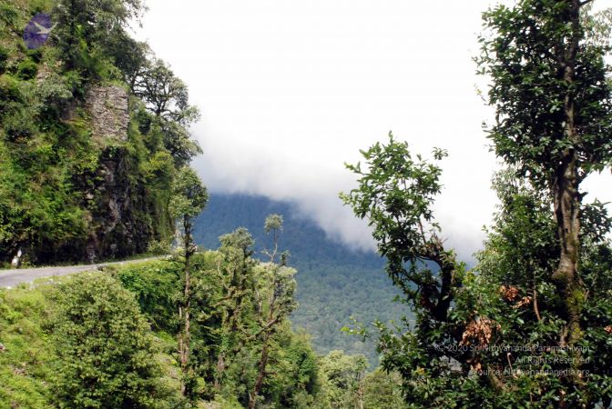 20080701 DSC 0288 CMP WM 0011.jpg