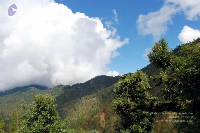 20080701 DSC 0310 CMP WM 0011.jpg