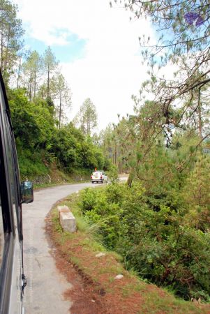 20080701 DSC 0312 CMP WM 0011.jpg