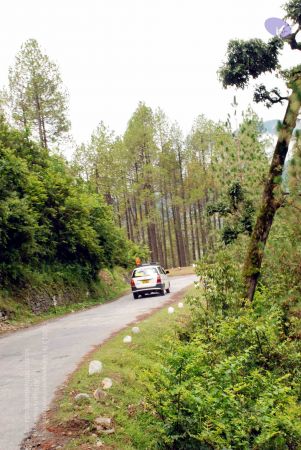 20080701 DSC 0313 CMP WM 0011.jpg