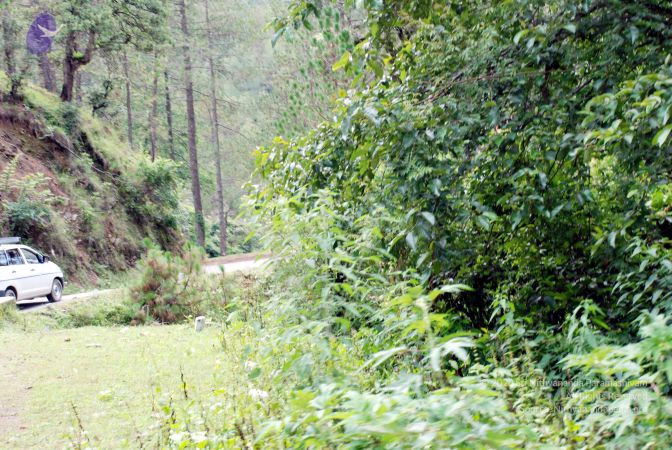 20080701 DSC 0321 CMP WM 0011.jpg