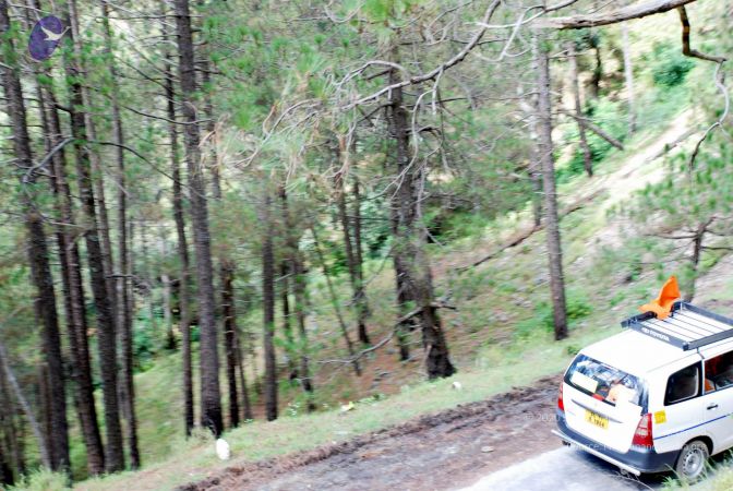 20080701 DSC 0349 CMP WM 0011.jpg