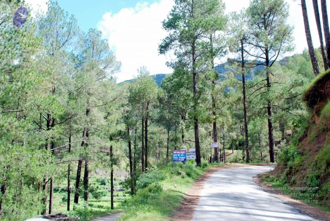 20080701 DSC 0372 CMP WM 0011.jpg