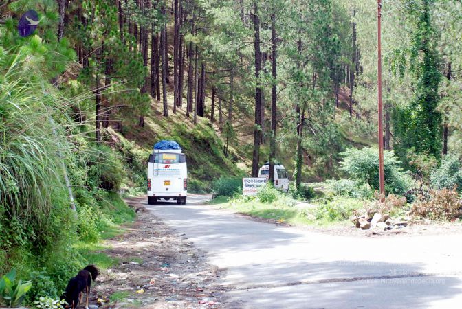 20080701 DSC 0373 CMP WM 0011.jpg