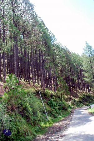 20080701 DSC 0380 CMP WM 0011.jpg