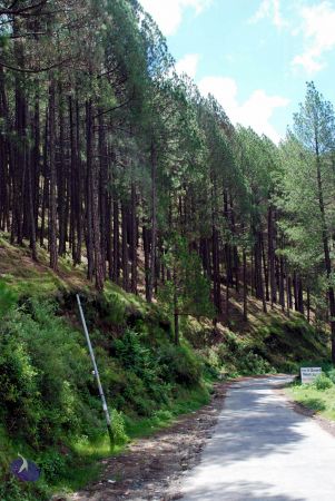 20080701 DSC 0381 CMP WM 0011.jpg