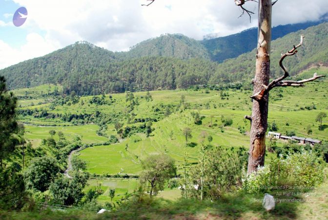 20080701 DSC 0424 CMP WM 0011.jpg