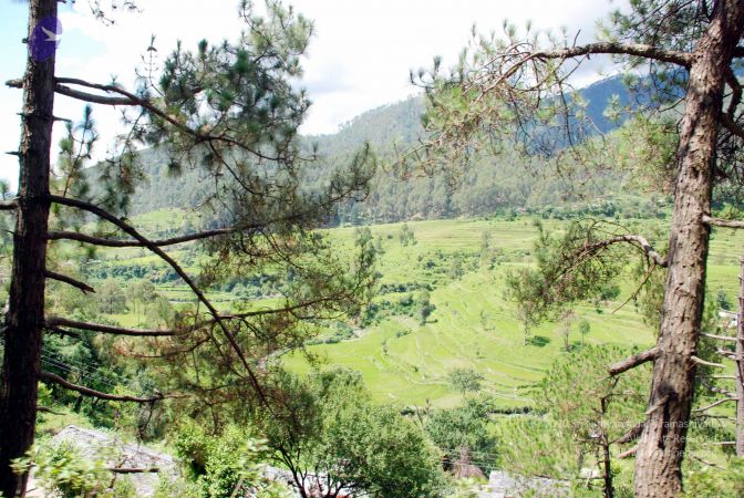 20080701 DSC 0426 CMP WM 0011.jpg