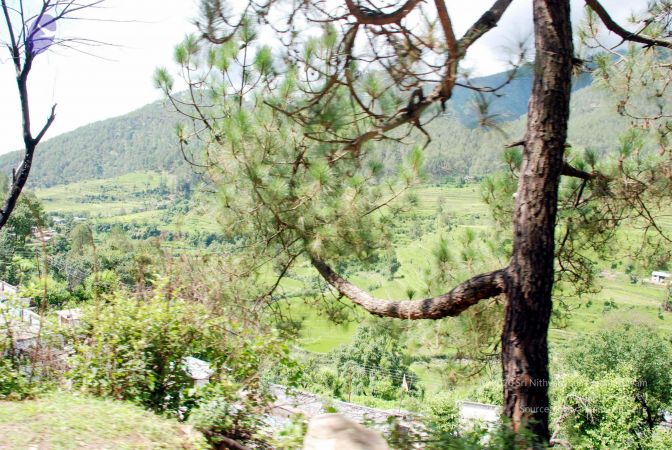 20080701 DSC 0427 CMP WM 0011.jpg