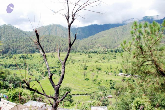 20080701 DSC 0428 CMP WM 0011.jpg