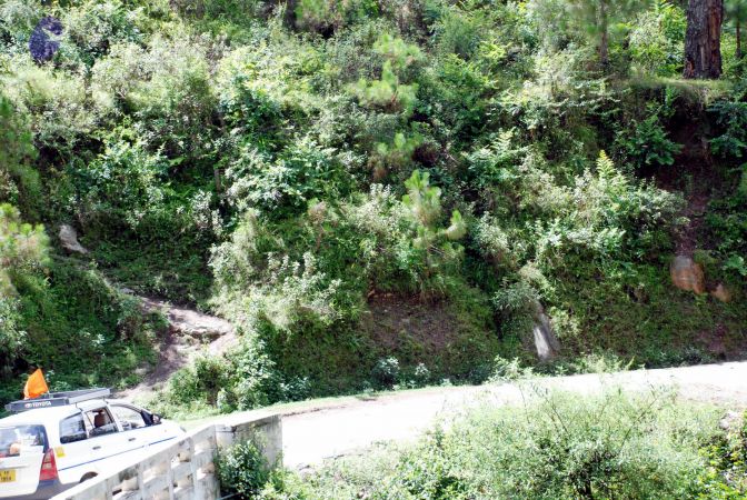 20080701 DSC 0437 CMP WM 0011.jpg