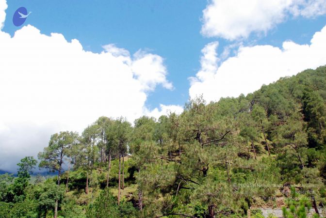 20080701 DSC 0443 CMP WM 0011.jpg