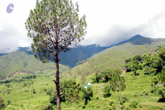 20080701 DSC 0444 CMP WM 0011.jpg