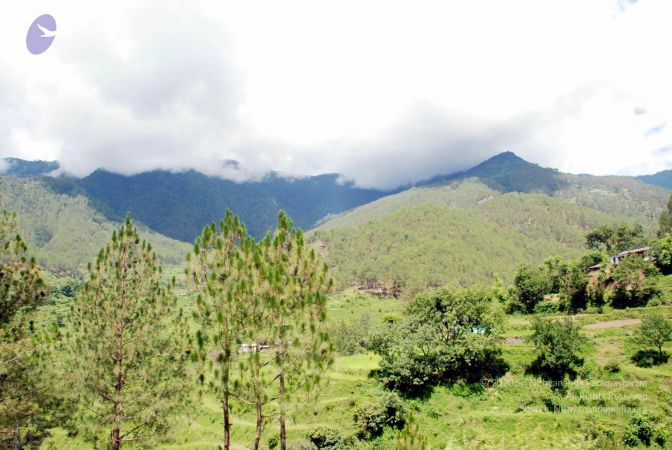 20080701 DSC 0448 CMP WM 0011.jpg