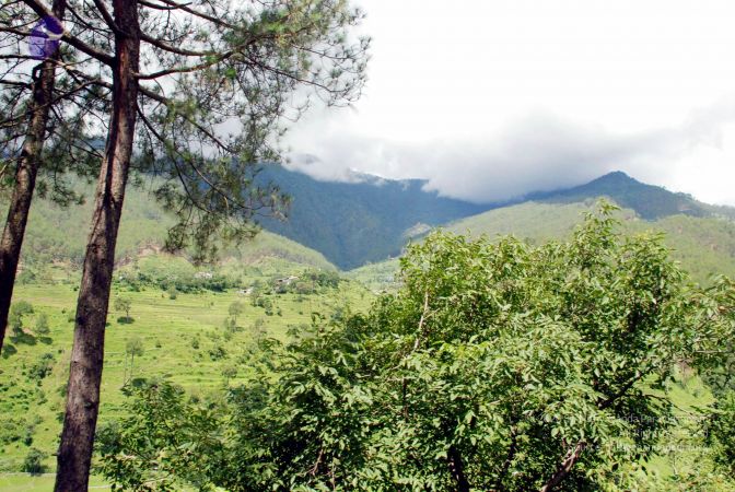 20080701 DSC 0451 CMP WM 0011.jpg