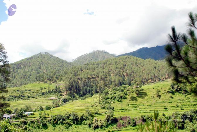 20080701 DSC 0455 CMP WM 0011.jpg