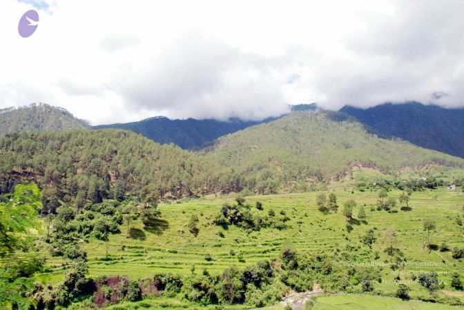 20080701 DSC 0456 CMP WM 0011.jpg