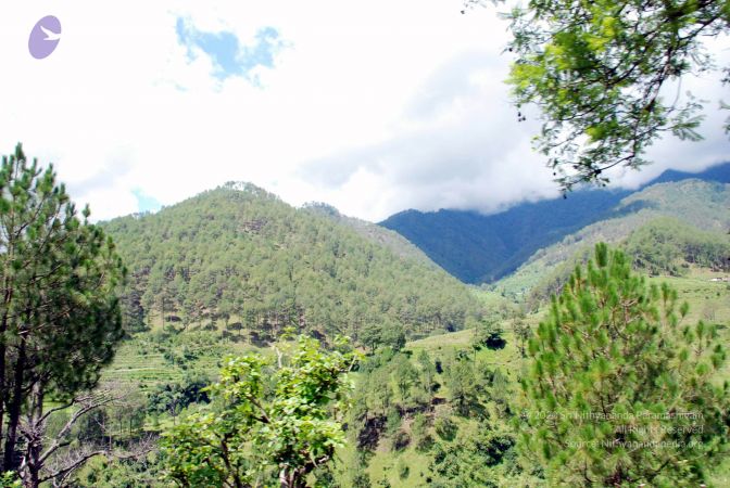 20080701 DSC 0472 CMP WM 0011.jpg