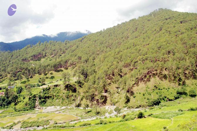 20080701 DSC 0484 CMP WM 0011.jpg