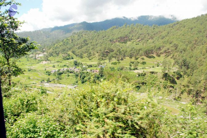 20080701 DSC 0487 CMP WM 0011.jpg