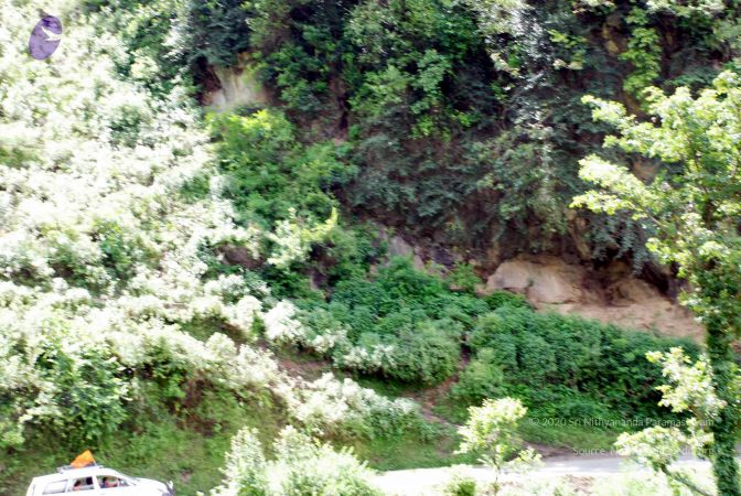 20080701 DSC 0490 CMP WM 0011.jpg