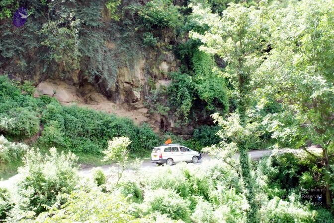 20080701 DSC 0493 CMP WM 0011.jpg