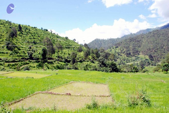 20080701 DSC 0495 CMP WM 0011.jpg