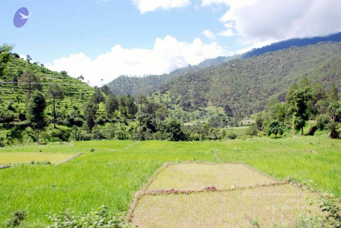 20080701 DSC 0496 CMP WM 0011.jpg