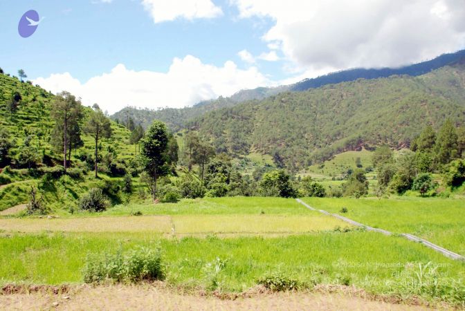 20080701 DSC 0498 CMP WM 0011.jpg