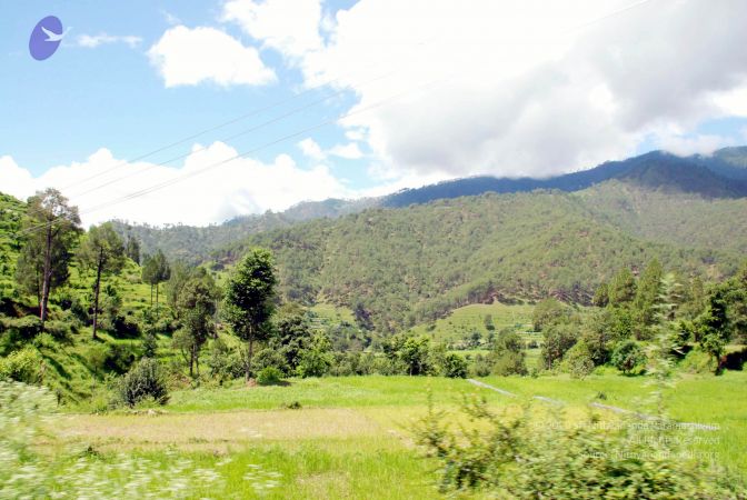 20080701 DSC 0499 CMP WM 0011.jpg